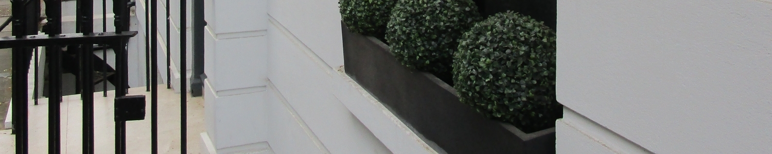 Closeup of windowsill with balled box plants and black railings
